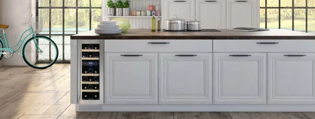 The Best Small Wine Coolers To Buy