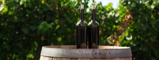Pour, Preserve, Enjoy: Dunavox's Guide to Organic Wine Storage