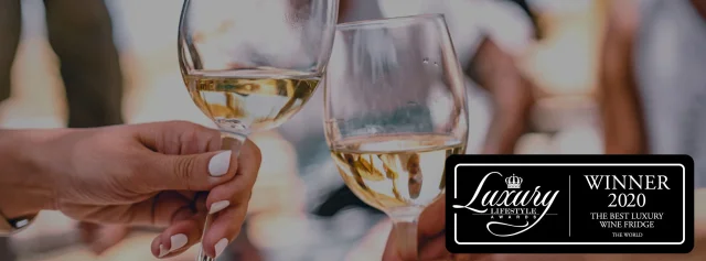 Dunavox Luxury Lifestyle Award