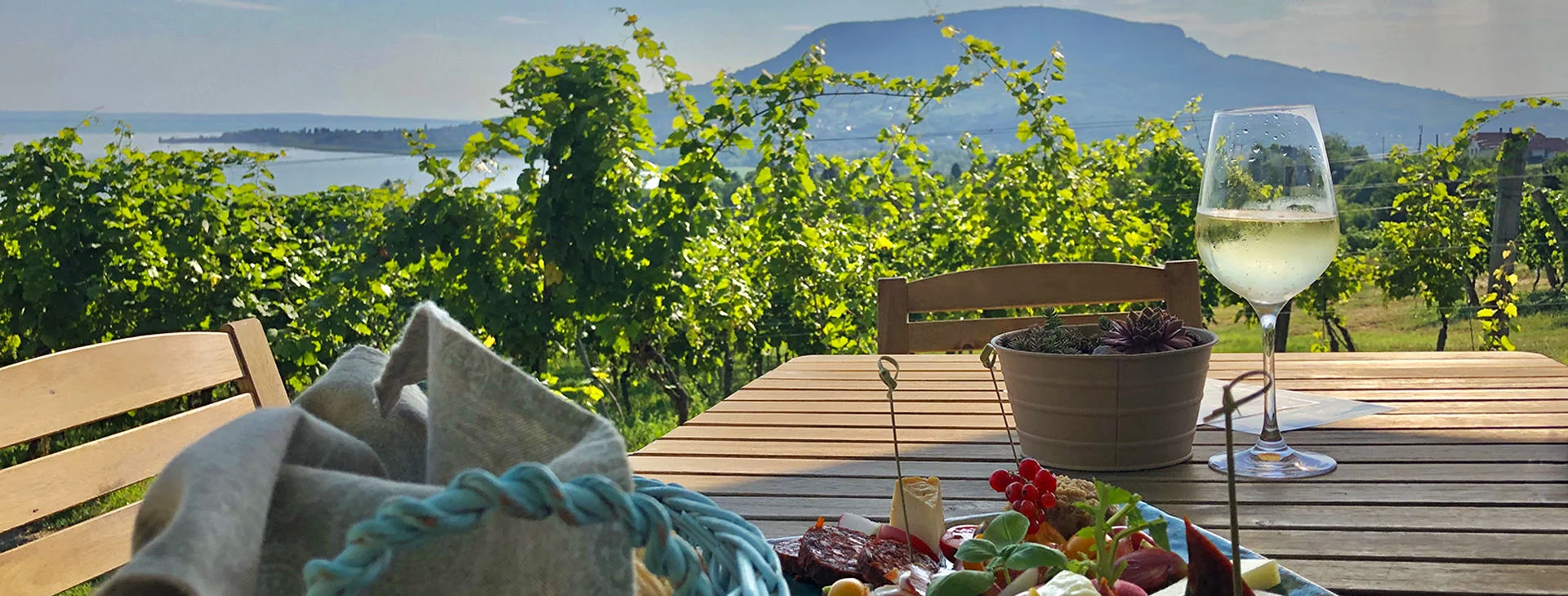 3+1 wonderful and amazing wine tour ideas in Hungary