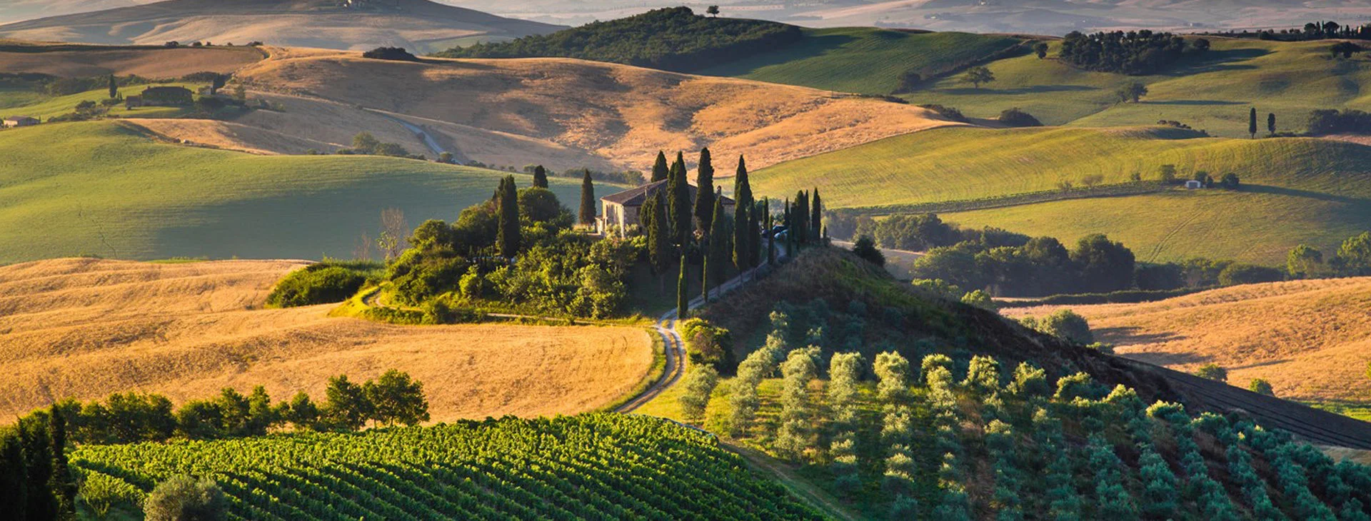 3+1 of the most popular wine producing regions in the world -  with their most popular wines