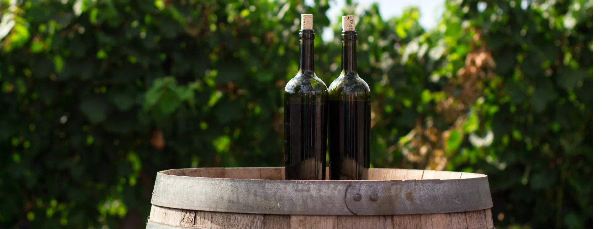 Easiest Ways To Age Wine