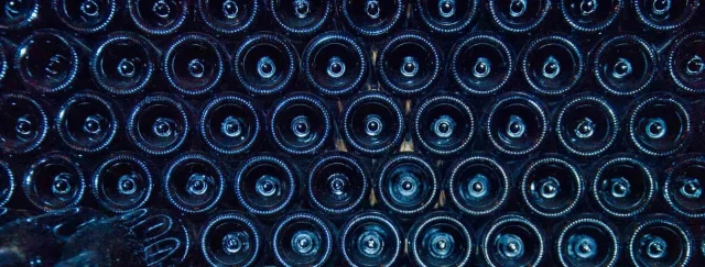 The Best Wine Coolers For Long Term Wine Storage